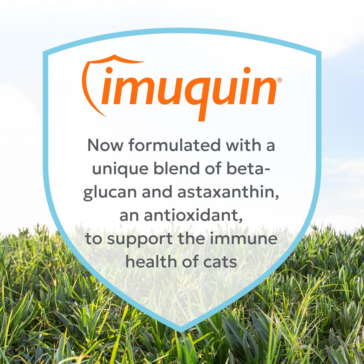 Nutramax Imuquin for Cats Sprinkle Capsules, 30ct
